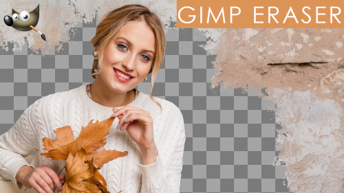gimp eraser